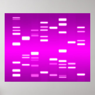 Póster Código genético de ADN Magenta rosa