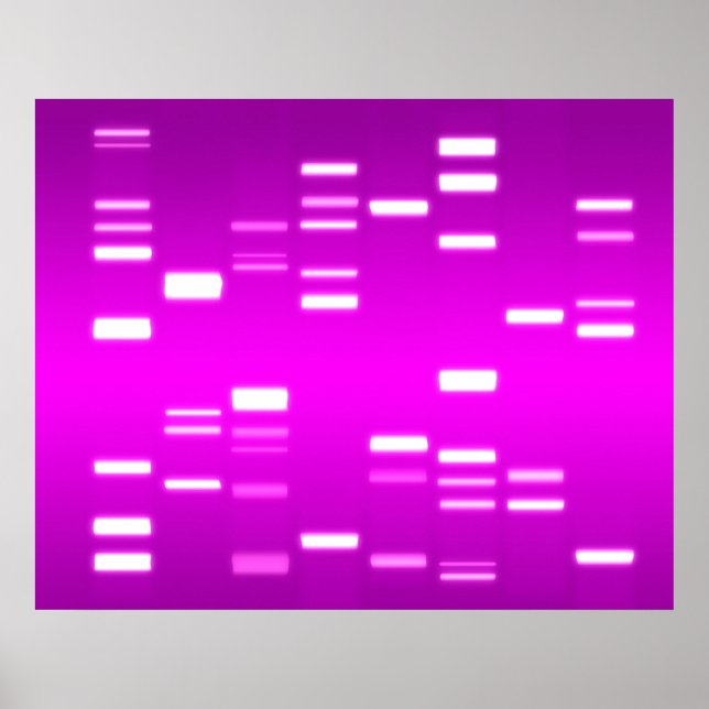 Póster Código genético de ADN Magenta rosa (Frente)