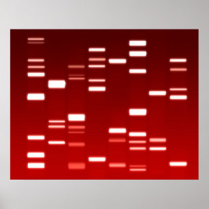 Póster Código genético de ADN rojo