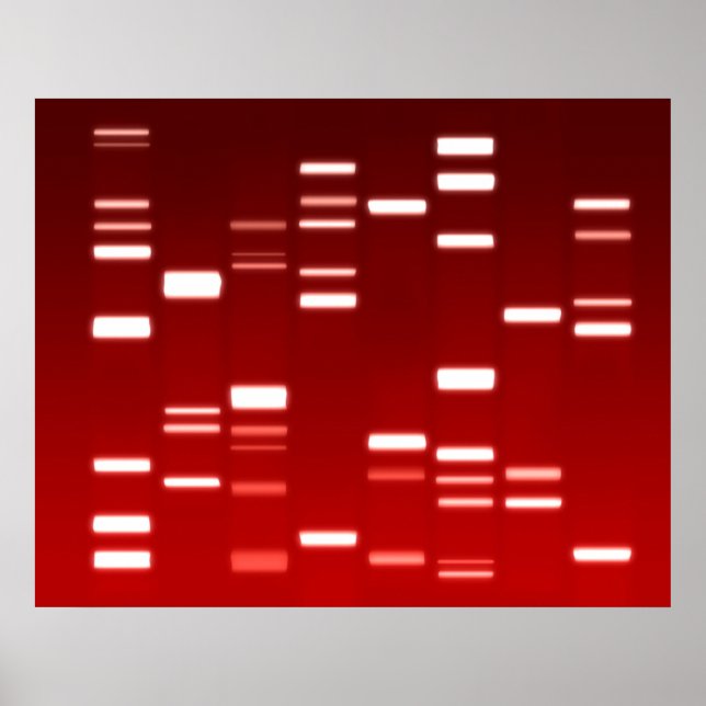 Póster Código genético de ADN rojo (Frente)