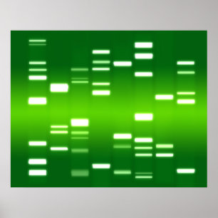 Póster Código Genético de ADN Verde