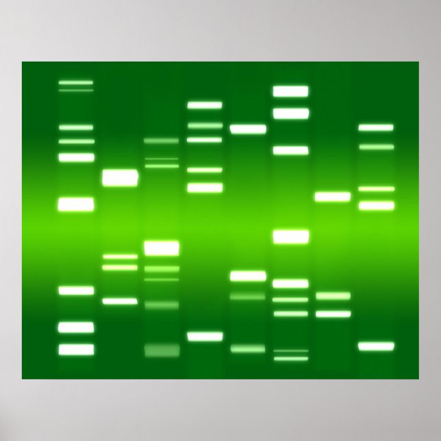 Póster Código Genético de ADN Verde (Frente)