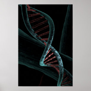 Póster Código microscópico de la vida ADN Helix doble