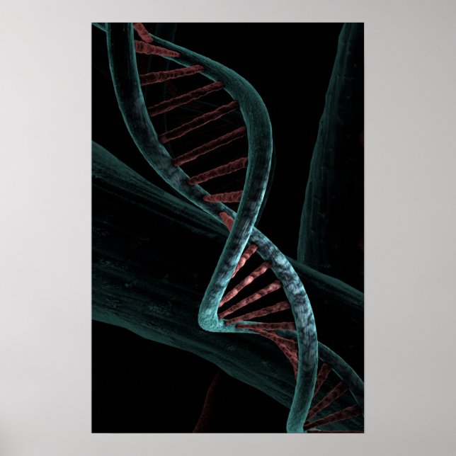 Póster Código microscópico de la vida ADN Helix doble (Frente)