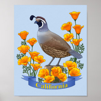 Póster Codorniz ave estatal de California y amapola dorad