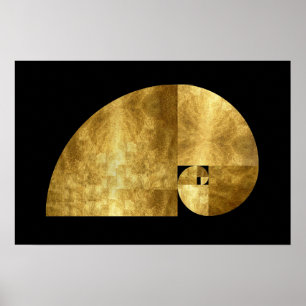 Póster Coeficiente de oro, espiral de Fibonacci