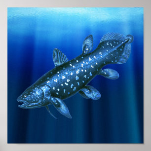 Póster Coelacanth