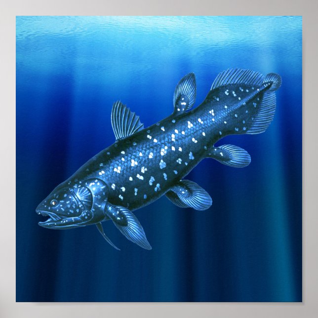 Póster Coelacanth (Frente)