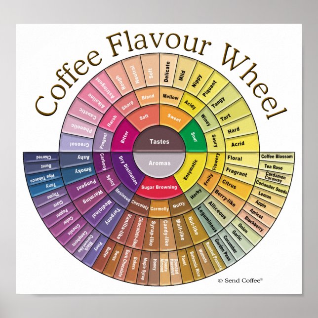 Póster Coffee Flavor Wheel Wall Art (Frente)