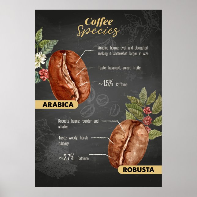 Póster Coffee Lover Coffee Species (Frente)