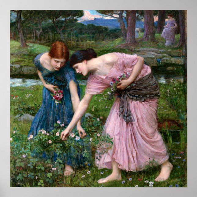 Póster Coged Rosas por John William Waterhouse (Frente)