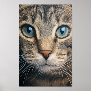 Póster Coger de grisones