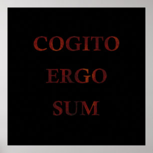 Póster Cogito ergo sum