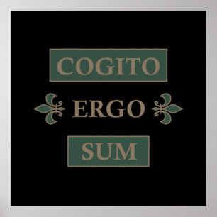 Póster cogito ergo sum, frase en latín