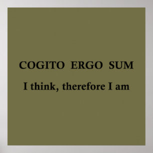 Póster cogito ergo sum, latin