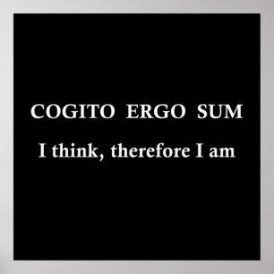 Póster cogito ergo sum, latin