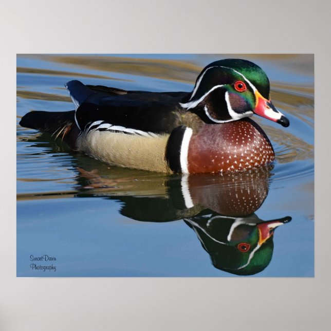 Póster Cojín decorativo de reflexión de pato de madera ma (Frente)