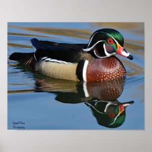 Póster Cojín decorativo de reflexión de pato de madera ma