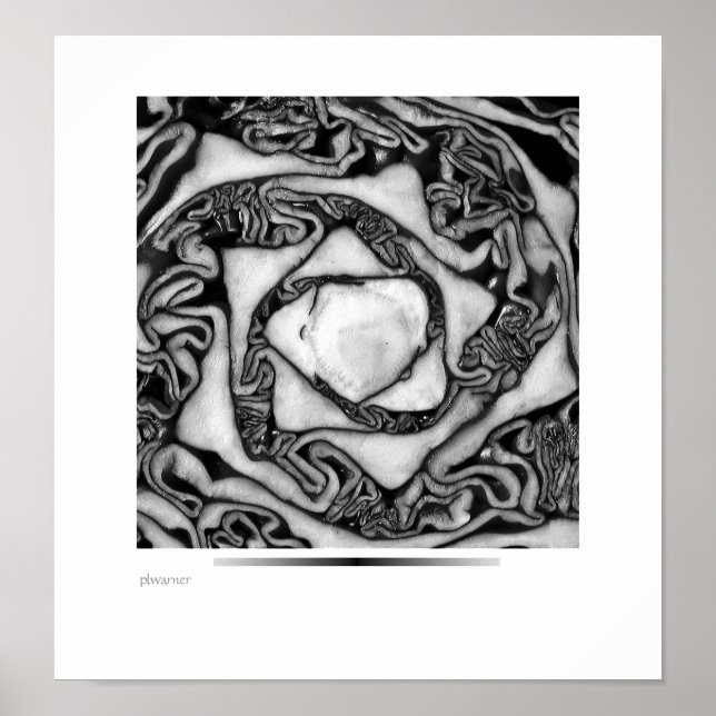 Póster col, negro y blanco (Frente)