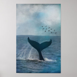 Póster Cola de la ballena