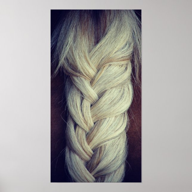 Póster Cola trenzada (Frente)