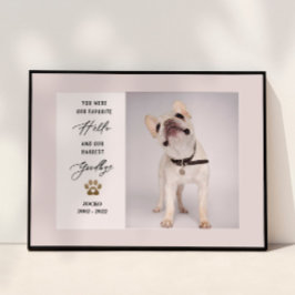 Póster Colage de Fotos Personalizado de Mascota Fallecida