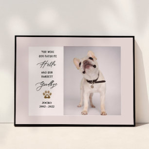 Póster Colage de Fotos Personalizado de Mascota Fallecida