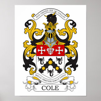 Póster Cole Custom 1
