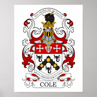 Póster Cole Custom 2