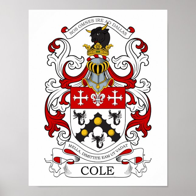 Póster Cole Custom 2 (Frente)