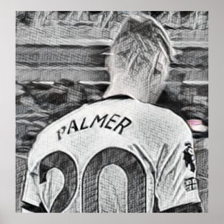 Póster Cole Palmer
