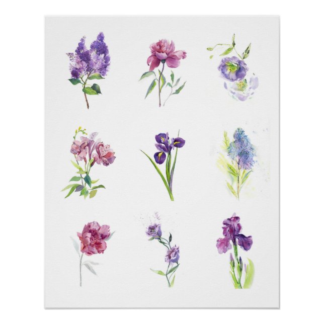 Póster Colección de Acuarela Botánica de Flores de Primav (Anverso)