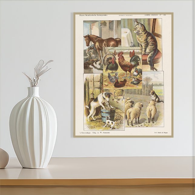 Póster Colección de animales de la granja tame (Subido por el creador)