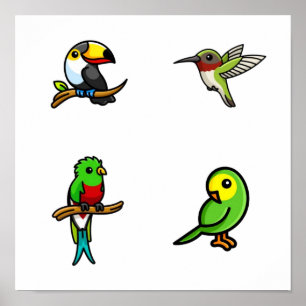 Póster Colección de aves