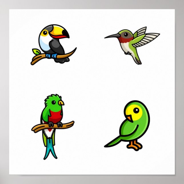 Póster Colección de aves (Frente)