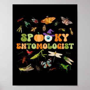 Póster Colección De Entomología Espectacular Especie De I