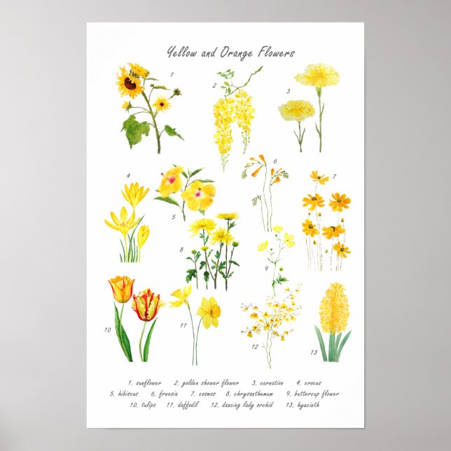 Póster colección de flores amarillas y naranjas (Frente)