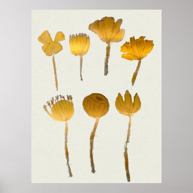 Póster Colección de Flores Secas Abstractas (Frente)
