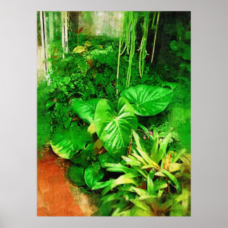 Póster colección de folletos tropicales , g tropical de h
