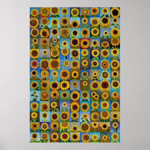 Póster Colección de girasoles