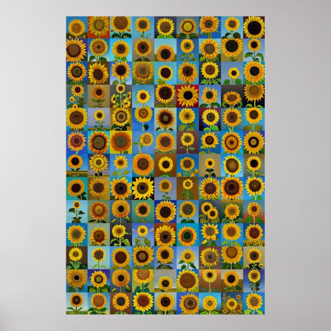 Póster Colección de girasoles (Frente)