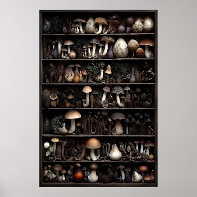 Póster Colección de hongos en musgo, bosque otoñal (Frente)