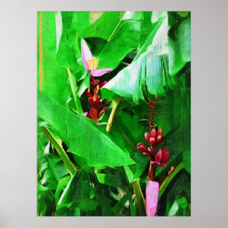 Póster Colección de Jardín Tropical de Árboles Bananeros 