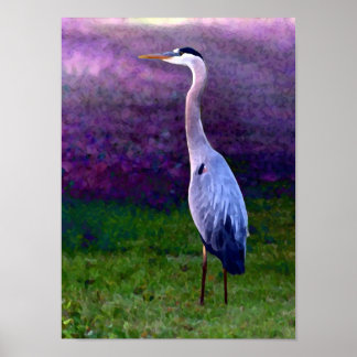 Póster Colección de la garza azul