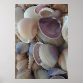 Póster Colección de las marismas, Poster, naturaleza, pla