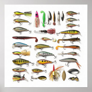 Póster Colección de Lures de Pesca