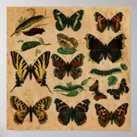 Colección de mariposa con efecto de papel manchado