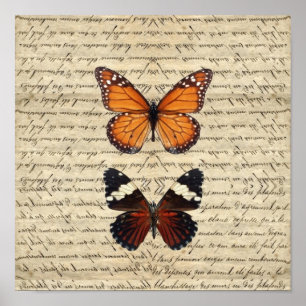 Póster Colección de mariposas antiguas