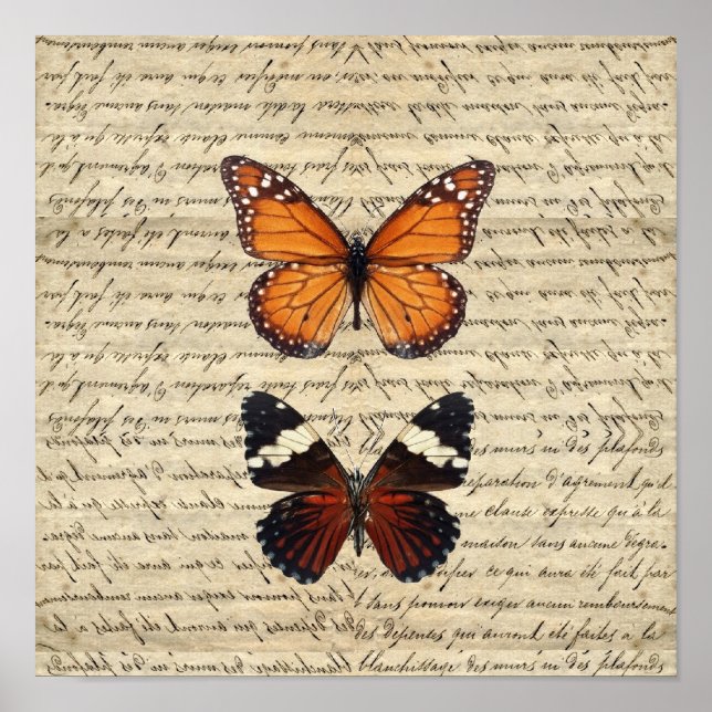 Póster Colección de mariposas antiguas (Frente)