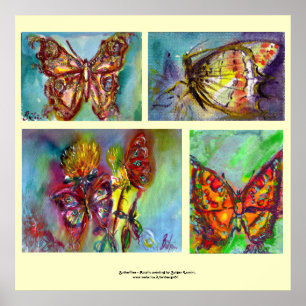 PÓSTER COLECCIÓN DE MARIPOSAS COLORIDAS
